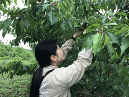 60a35d175166a.png image.png